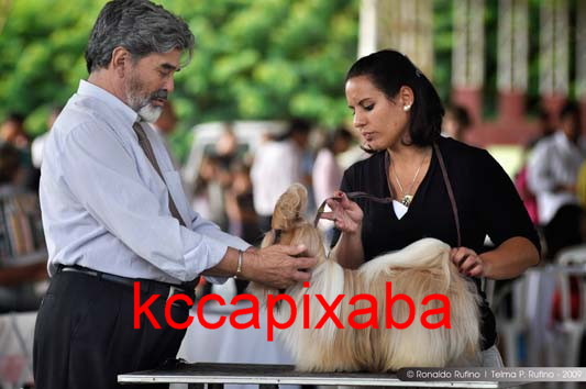 Clique sobre a foto para fechar